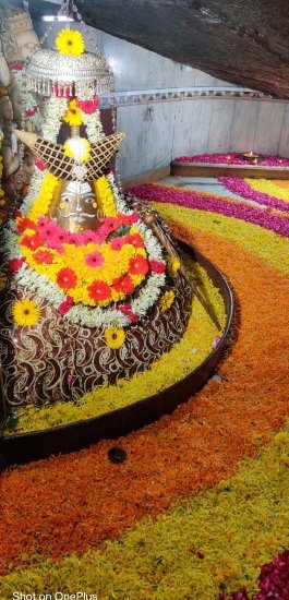 +918827378364