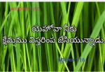 K gireesh